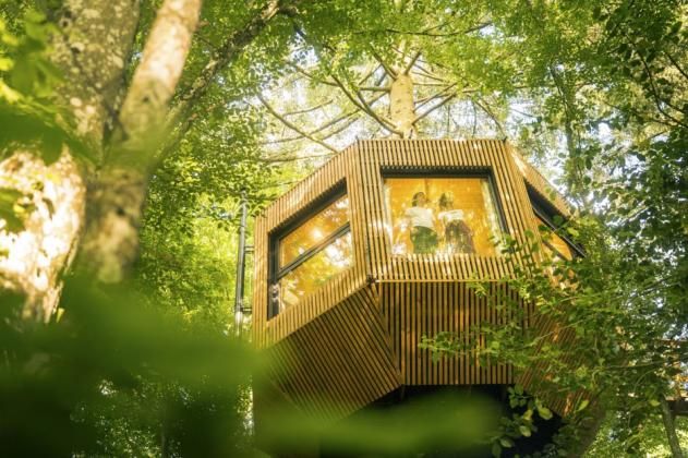 Le Domaine des Étoiles - Treehouse